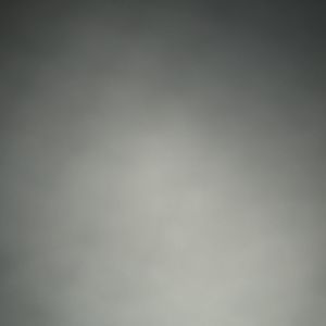 Meet your Posher, Alfonsa